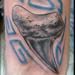 tattoos/ - shark tooth - 58885